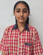 Sehajdeep Kaur VIII